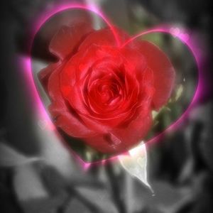 Meet your Posher, Brandy